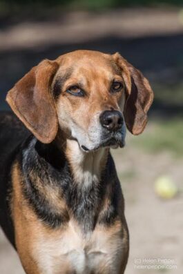 b9c6aff6-0cd5-45a7-9498-40e630925f2a